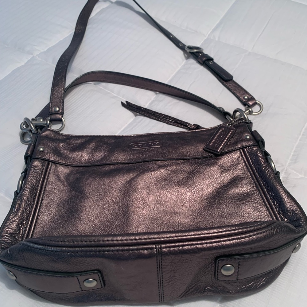 Coach Taupe Metallic Shoulder / Crossbody Bag
